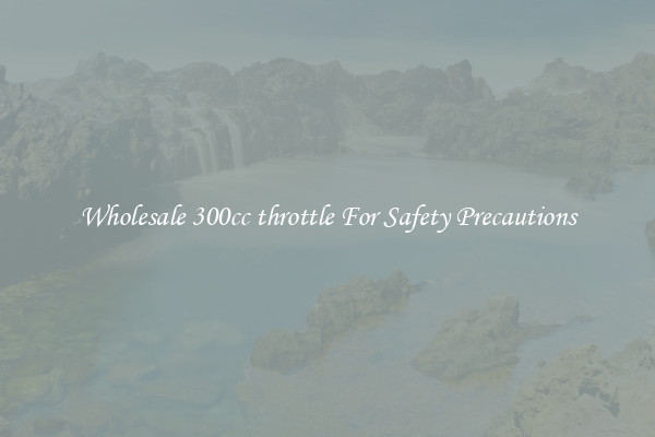 Wholesale 300cc throttle For Safety Precautions