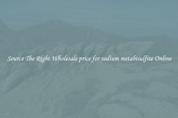 Source The Right Wholesale price for sodium metabisulfite Online