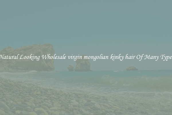 Natural Looking Wholesale virgin mongolian kinky hair Of Many Types