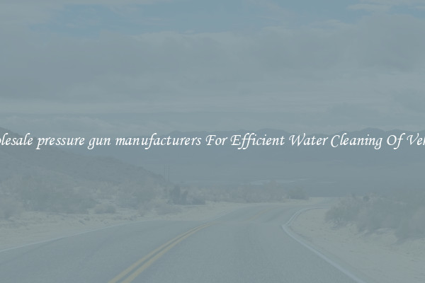 Wholesale pressure gun manufacturers For Efficient Water Cleaning Of Vehicles