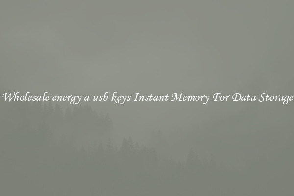 Wholesale energy a usb keys Instant Memory For Data Storage