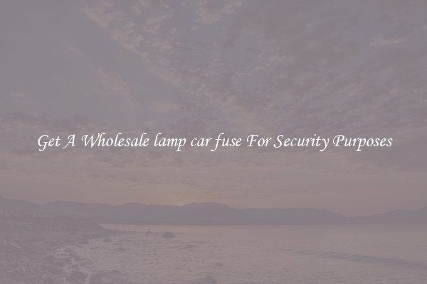 Get A Wholesale lamp car fuse For Security Purposes