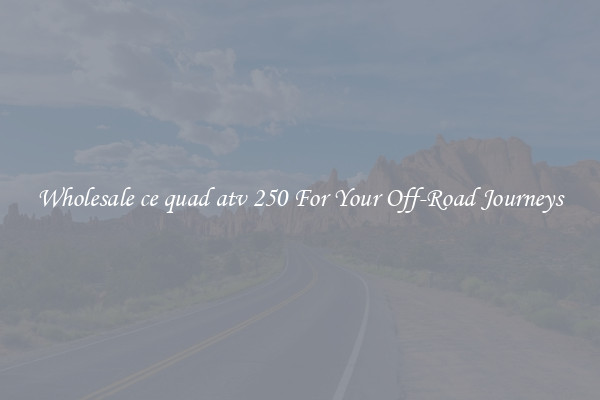 Wholesale ce quad atv 250 For Your Off-Road Journeys
