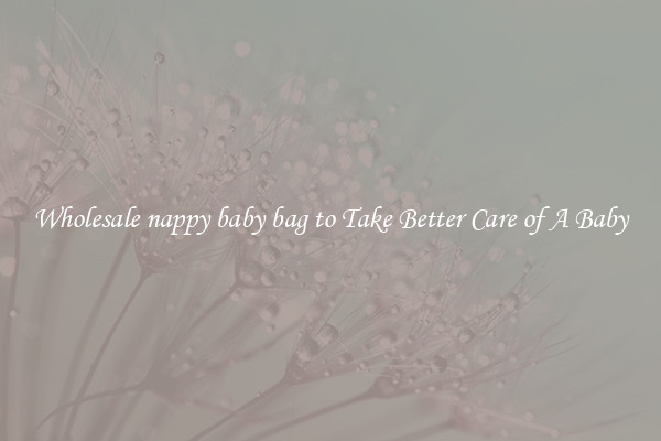 Wholesale nappy baby bag to Take Better Care of A Baby