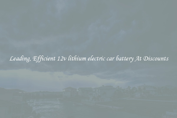 Leading, Efficient 12v lithium electric car battery At Discounts