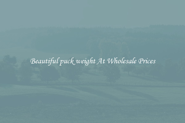 Beautiful puck weight At Wholesale Prices