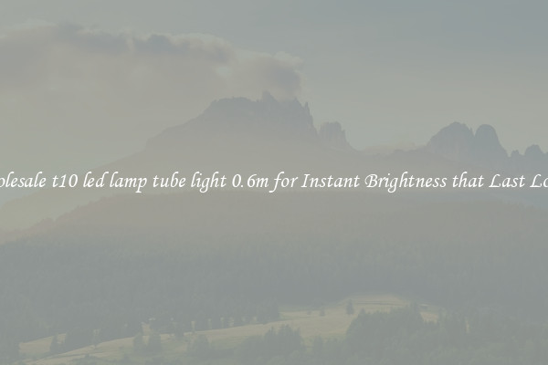 Wholesale t10 led lamp tube light 0.6m for Instant Brightness that Last Longer
