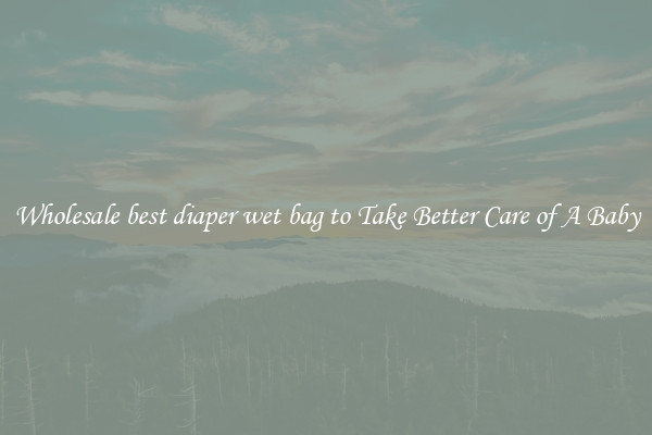 Wholesale best diaper wet bag to Take Better Care of A Baby
