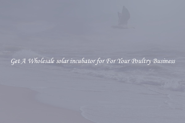 Get A Wholesale solar incubator for For Your Poultry Business