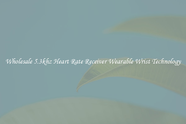 Wholesale 5.3khz Heart Rate Receiver Wearable Wrist Technology