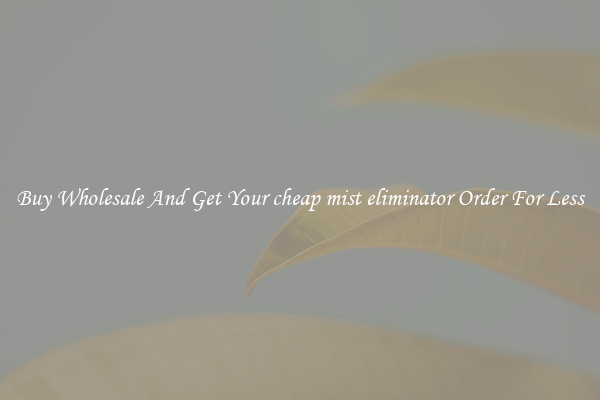 Buy Wholesale And Get Your cheap mist eliminator Order For Less