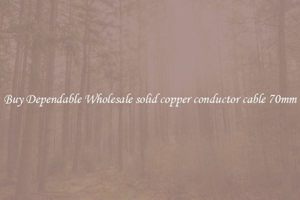 Buy Dependable Wholesale solid copper conductor cable 70mm