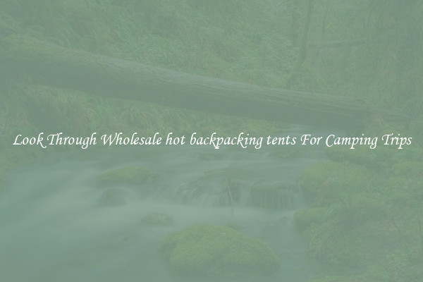 Look Through Wholesale hot backpacking tents For Camping Trips