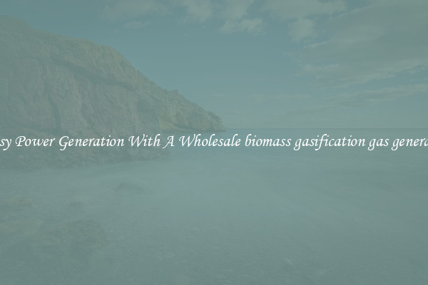 Easy Power Generation With A Wholesale biomass gasification gas generator