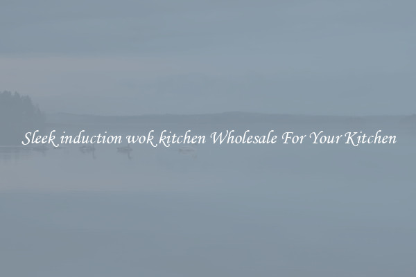 Sleek induction wok kitchen Wholesale For Your Kitchen